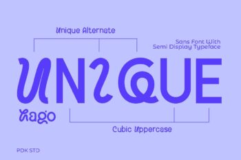 display sans font