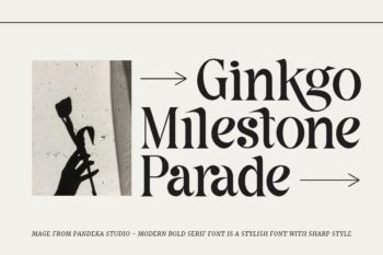 modern sharp serif font
