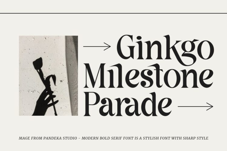 modern sharp serif font