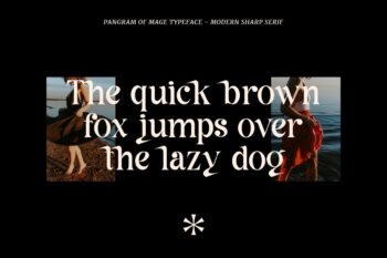 modern sharp serif font