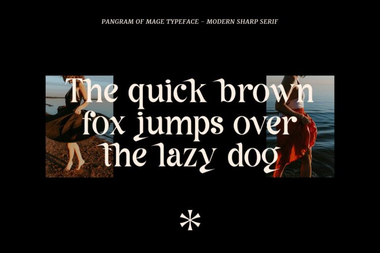 modern sharp serif font