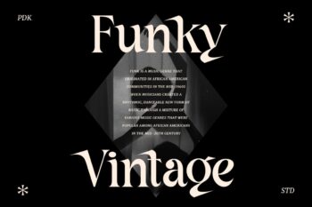 modern sharp serif font