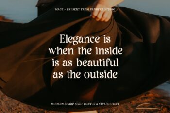 modern sharp serif font