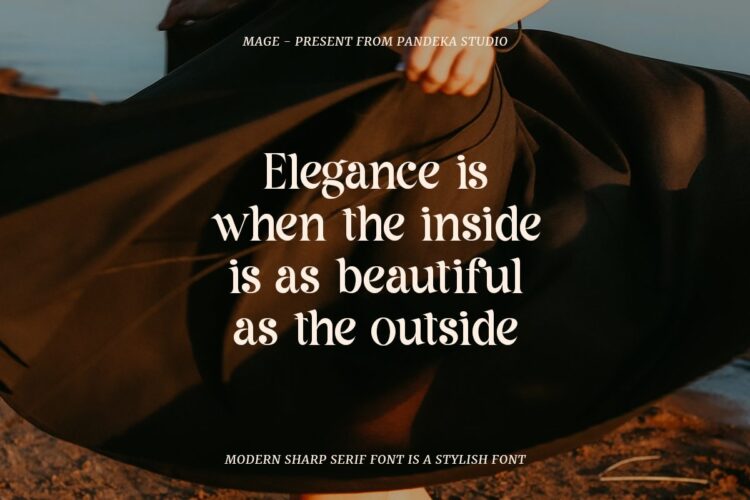 modern sharp serif font