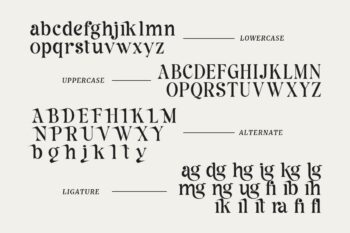modern sharp serif font