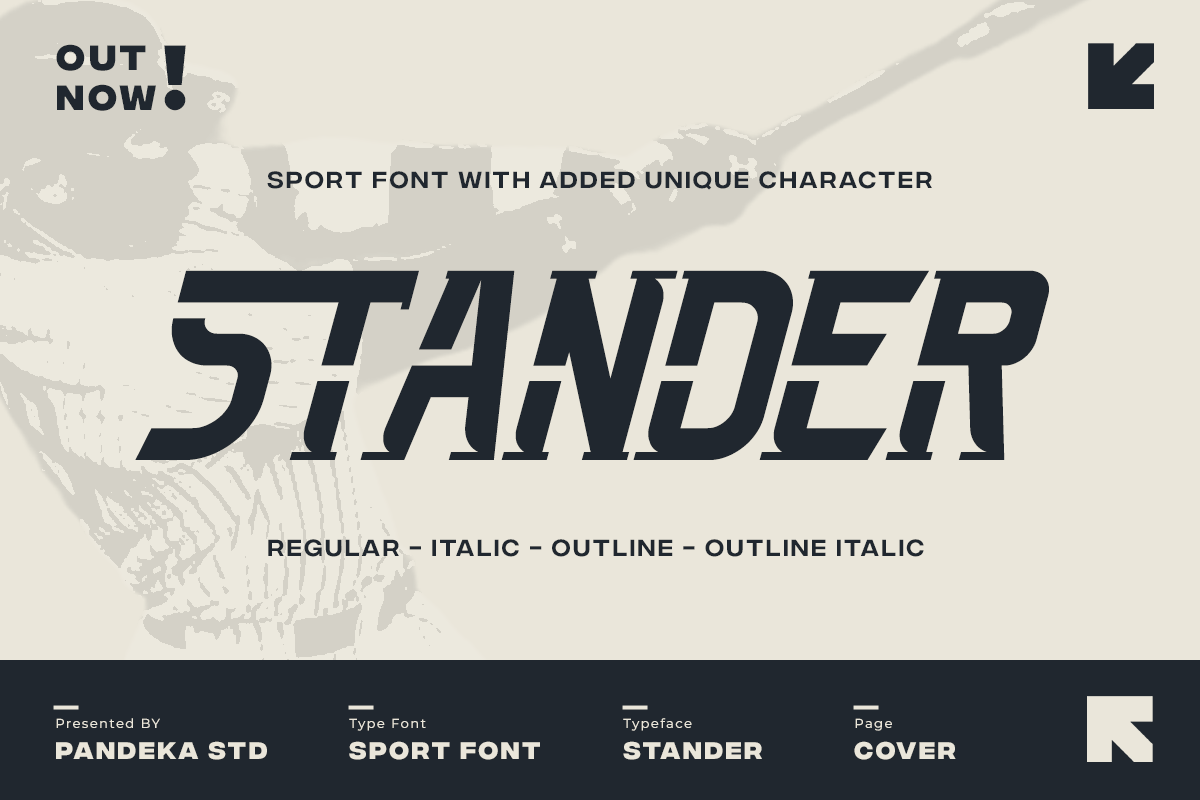 Stander - Sport Font